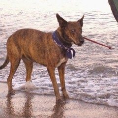 Check The Weather (live acoustic)