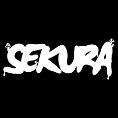 Sekura Wizards Only Set