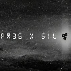 pm36 x Siu - "zuhanunk"