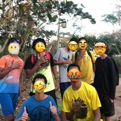 Cópia de Daily Drops