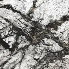 Afraid Of Time / Rage Upon The Dying Of The Light