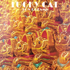 Lucky Cat (prod. by AsvpDecoBeats)