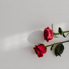 My Only ft KarmaShima