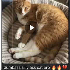 i think i made techno???