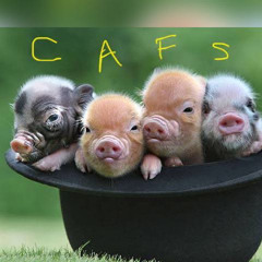 ApriNaLdy™ - Breakbeat SpeciaL Narco Bass 2022