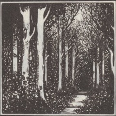 Forgotten Path (w/ JohnGotti)