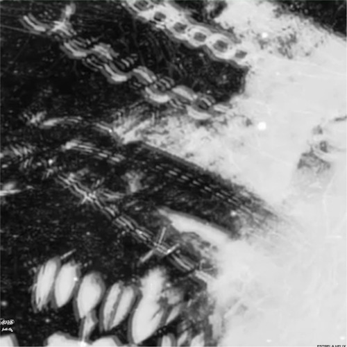 Estrela Helix (Slowed)