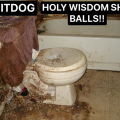 SHITDOG- HOLY WISDOM SHIT BALLS!!! (FULL EP)