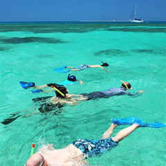 Best Place To Snorkel In The Keys Prices Reviews