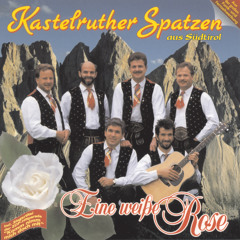 Eine weiße Rose