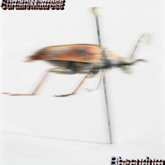 Coolant Pipe Shuffle