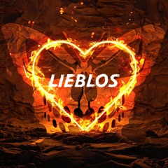 ResonanzRausch-Lieblos[RMX]