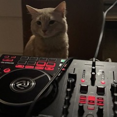 indo bounce 2025 mixtape