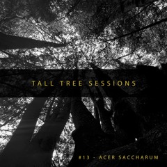 Tall Tree Sessions #13 - Acer Saccharum (House | Tech House | Techno)