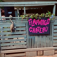 Flamingo Chateau Live from East Atlanta Strut 9/25/21