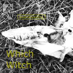 Which Witch