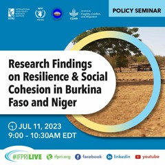 Research Findings on Resilience & Social Cohesion in Burkina Faso and Niger