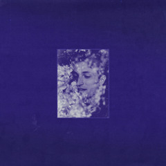 indigo