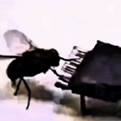 headless horseman (microphones cover)