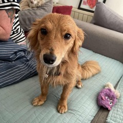 Feiern ist wichtig ...JONBOJ-CASTLE 1.Juni25