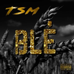 TSM- Blé