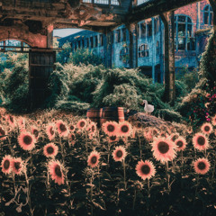 Je Suis Une Fille Vide (Ashley Anngora Remix)