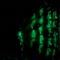 FUCC CYBER SECURITY! prod. MANOROFANIMALS