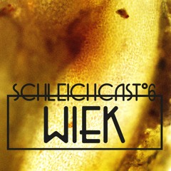 Schleichcast°6 | WIEK