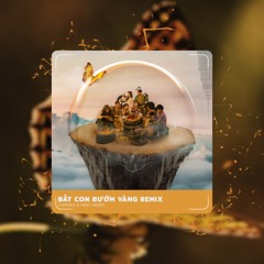 Bắt Con Bướm Vàng (Haky Remix)