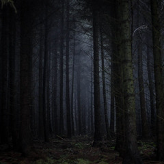 H-K-S - Crying Forest
