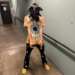 babytron - ferndale (xeter hoodtrap flip)