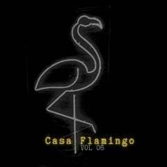 Casa Flamingo Vol. 06