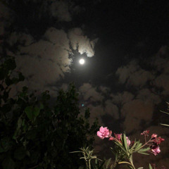 يا روحي أنا.. بحبِّك أنا