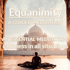 [15min] 🌱 RD Equanimity: Gentle Guided Meditation (2020-11-19d) @ RD Thursday Heart Practice