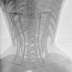 T4RNISH