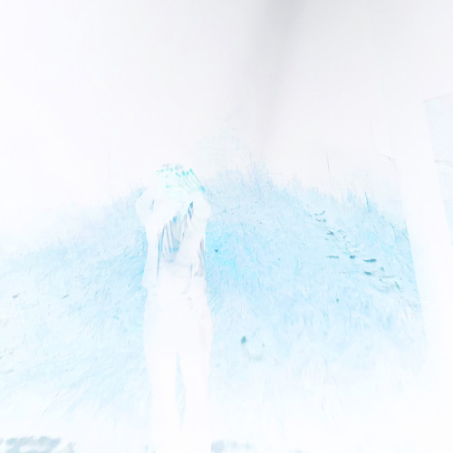 i break i don’t bend (2004 + w1nd0)