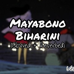 Mayabono Biharini (Slowed + Reverbed) |Somlata | VeBrio. | Rabindra Sangeet