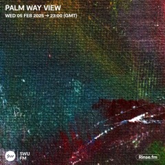 Palm Way View - 05 February 2025