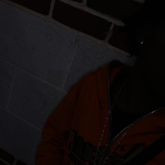 Slugs