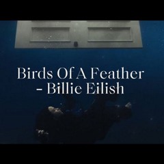 Billie Eilish - Birds Of A Feather (&Hugo Remix) Filtered For Copyright
