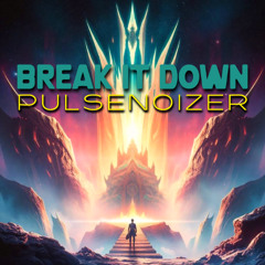 Pulsenoizer - Break It Down