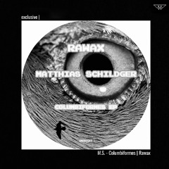 exclusive | M.S. - Columbiformes | Rawax