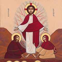 Resurrection Fraction 2024 | Fr. Gregory Bekhit