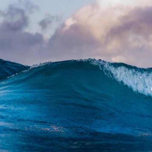 WAVES