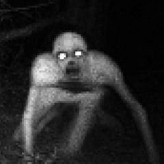 Ｐａｒａｄｉｓｅ Ｌｏｓｔ (prod. xy1va)