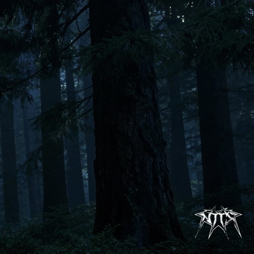 EVERY SOUND IS SO BEAUTIFUL - DJ SOFTPAWS, IAWYN