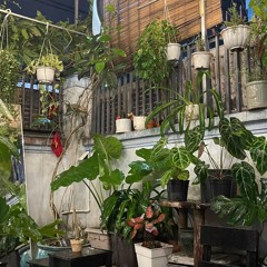 Thôi em đừng đi(MCK ft Trung Trần)_prod dino