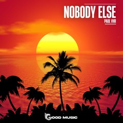 PVHR202030014 : Paul VHR - Nobody Else (Original Mix)