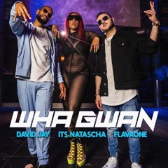 David Jay x Its Natascha Ft. FlavaOne - Wha Gwan