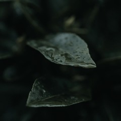 Baby If You Give It To Me ➳ Busta Rhymes ft. Mariah Carey (Ukulele Cover)